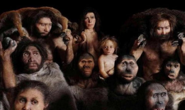 人工进化无删减视频