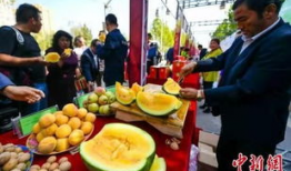 吴忠吃瓜最新事件爆料,揭秘背后惊人真相