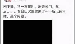 b站娱乐圈吃瓜是真的吗,真相还是谣言？